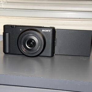 Sony Sleek Black Digital Camera with Articulating Screen
